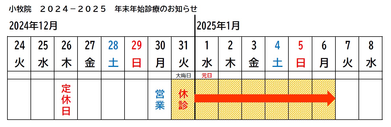 年末年始の診療